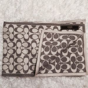 Silver Shimmer & Cream Reversible Coach Scarf